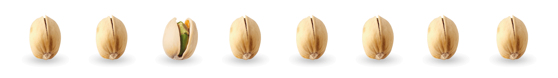 Frutos de pistachos en línea
